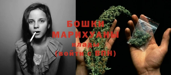 гидра Осинники