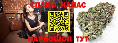 дмт Балаково