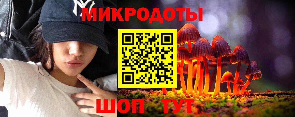 купить  цена  Псилоцибиновые грибы Psilocybe  Вход с VPN  Волоколамск 