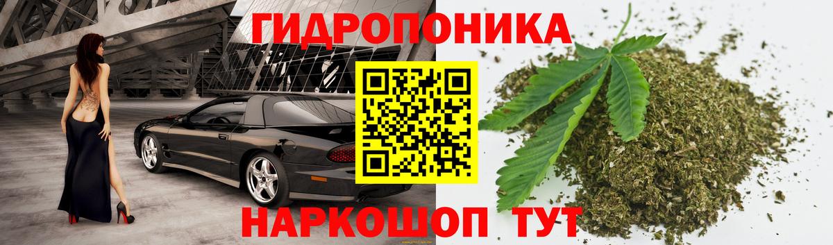 Шишки марихуана индика  Шишки марихуана Bruce Banner  Бошки марихуана тримм  МАРИХУАНА OG Kush  Волоколамск 